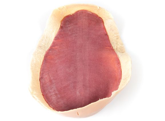 https://jayakelana.jayakelana.id/uploads/product/-123009-canine-abdominal-skin-62088d4b34b0fa2_cover.jpg