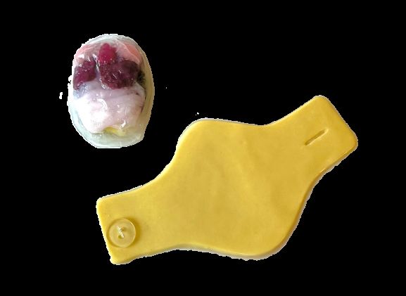 https://jayakelana.jayakelana.id/uploads/product/-124002-synfrog-organ-replacement-540287ba7704d12_cover.png