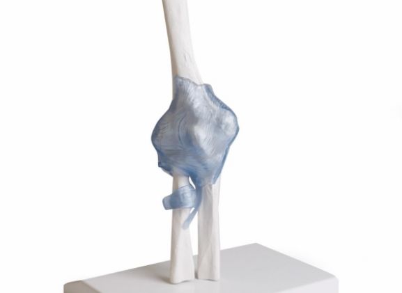 https://jayakelana.jayakelana.id/uploads/product/-4556-elbow-joint-with-74156c85790daab_cover.jpg