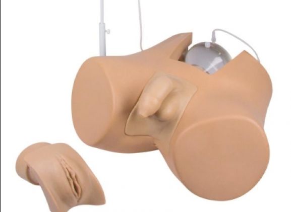 https://jayakelana.jayakelana.id/uploads/product/-7030-catheterization-trainer-with-797206ad70bc1f1_cover.jpg