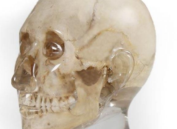 https://jayakelana.jayakelana.id/uploads/product/-7320-x-ray-phantom-head--9158351c6a21c55_cover.jpg
