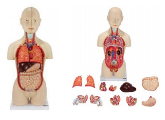 https://jayakelana.jayakelana.id/uploads/product/-a-104264-axis-scientific-16-part-30663c5842538a5_cover.png