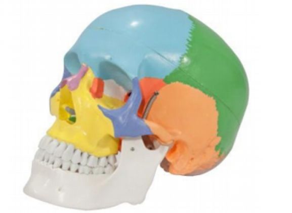https://jayakelana.jayakelana.id/uploads/product/-a-104268-axis-scientific-3-part-340035bc972449c_cover.png