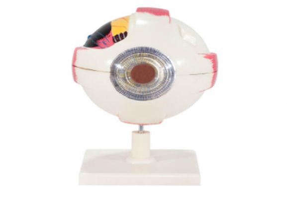 https://jayakelana.jayakelana.id/uploads/product/-a-104279-axis-scientific-7-bagian-23759654ed1513d_cover.png
