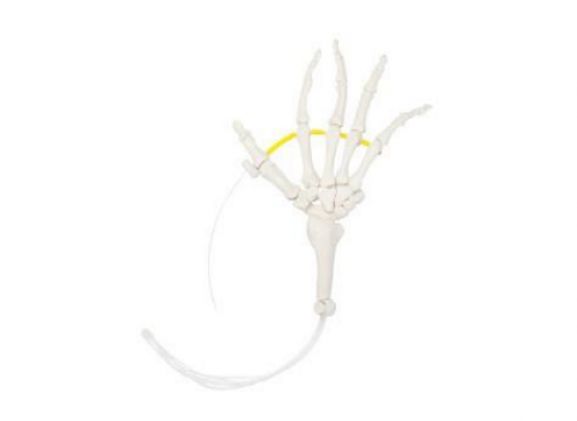 https://jayakelana.jayakelana.id/uploads/product/-a-105175-axis-scientific-hand-1717936b707b29d_cover.png