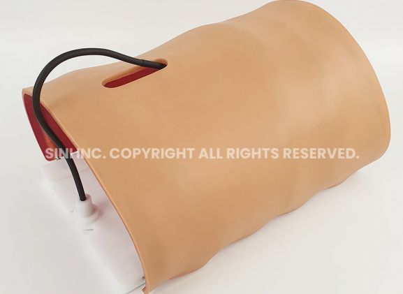 https://jayakelana.jayakelana.id/uploads/product/-a-lpl-01-laparoscopic-body-type-806753863c1ae61_cover.jpg