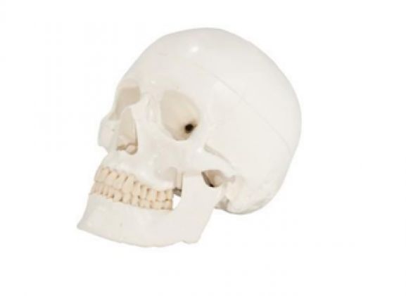 https://jayakelana.jayakelana.id/uploads/product/-axis-scientific-3-bagian-90081ceade1aabc_cover.png