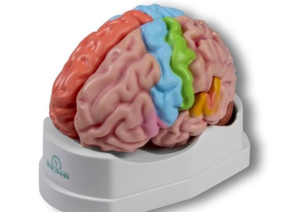 https://jayakelana.jayakelana.id/uploads/product/-c922-functional-and-regional-826369c034c0b46_cover.jpg