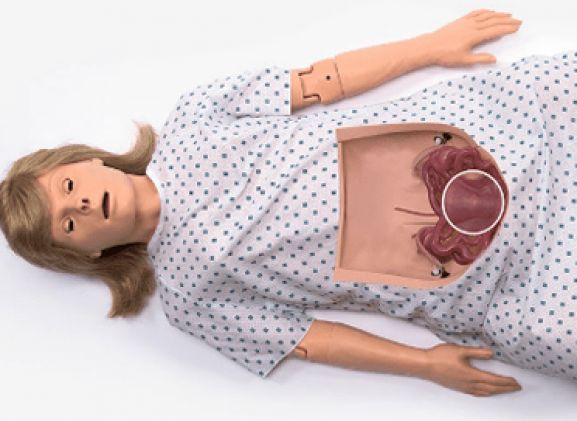 https://jayakelana.jayakelana.id/uploads/product/-chloe-bedah-simulator-2844379bfd63db9_cover.png