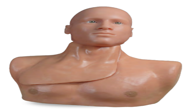 (CLM-50) CENTRALINEMAN SYSTEM W/O ARTICULATING HEAD 
