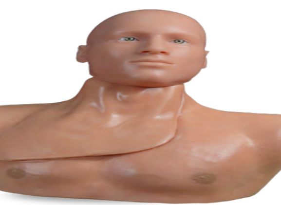 https://jayakelana.jayakelana.id/uploads/product/-clm-50-centralineman-system-w-o-93983cf9e25ace1_cover.png