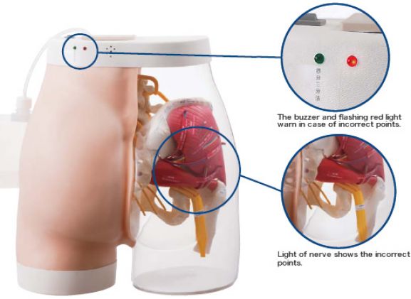 https://jayakelana.jayakelana.id/uploads/product/-m152-intramuscular-injection-model-441343cce23994e_cover.jpg