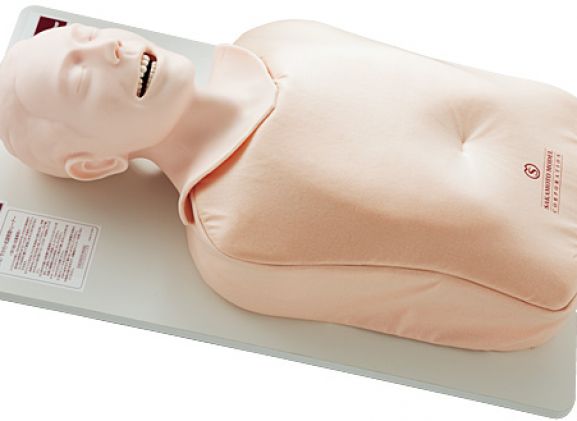https://jayakelana.jayakelana.id/uploads/product/-m167-airway-management-trainer-12129c40862202d_cover.jpg