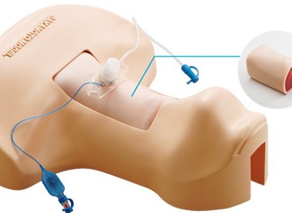 https://jayakelana.jayakelana.id/uploads/product/-m172-sakamoto-tracheotomy-trainer-23593bc26be43e8_cover.jpg