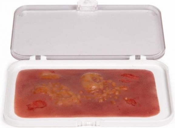 https://jayakelana.jayakelana.id/uploads/product/-nw007-wound-moulage-2nd-404375be3fcda5e_cover.jpg