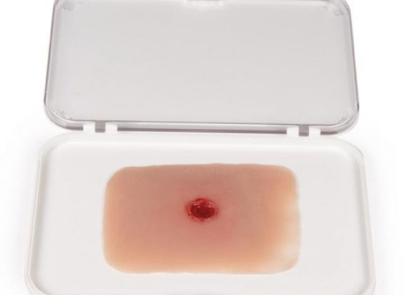 https://jayakelana.jayakelana.id/uploads/product/-nw010a-wound-moulage-bullet-23561aa381f358d_cover.jpg