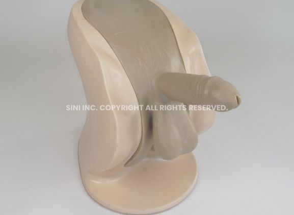 https://jayakelana.jayakelana.id/uploads/product/-p-ctb-01-male-catheterization-trainer-64673b17428a4c9_cover.jpg