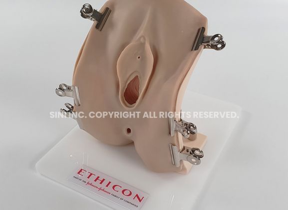 https://jayakelana.jayakelana.id/uploads/product/-p-epi-02-episiotomy-trainer-267977ebddc5fec_cover.jpg