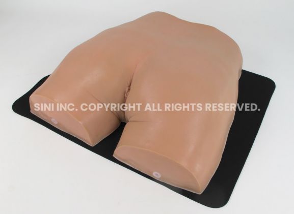 https://jayakelana.jayakelana.id/uploads/product/-p-img-01-gluteal-intramuscular-injection-83497947d48ee67_cover.jpg