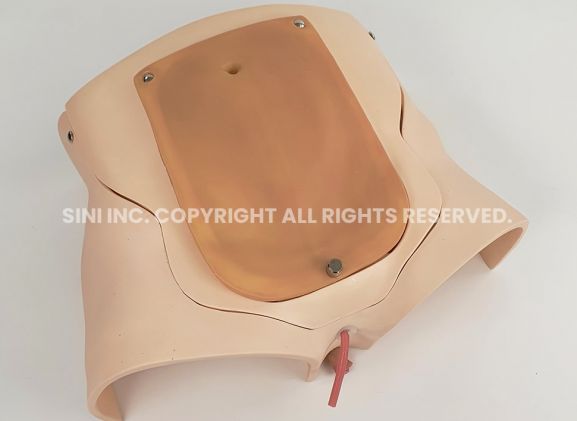 https://jayakelana.jayakelana.id/uploads/product/-p-prt-01-prostatectomy-trainer-intuitive-7418767aa0c10b7_cover.jpg