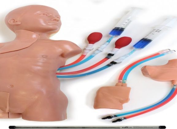 https://jayakelana.jayakelana.id/uploads/product/-paket-pelatihan-anak-akses-17230e5d14953de_cover.jpg