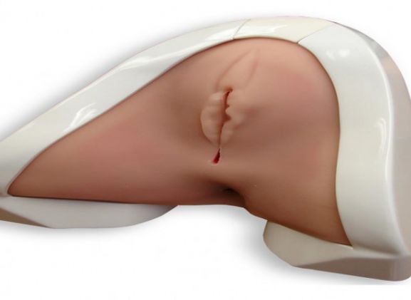 https://jayakelana.jayakelana.id/uploads/product/-pelatih-perineal-perineal-prt-20--72871abfb38be35_cover.jpg