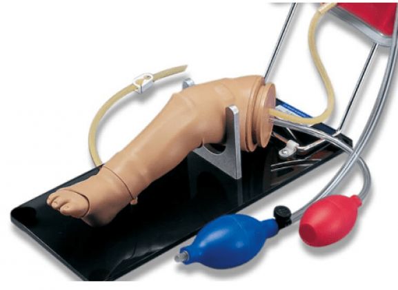 https://jayakelana.jayakelana.id/uploads/product/-pelatihan-keterampilan-kaki-infus-12621f8b87598c3_cover.png