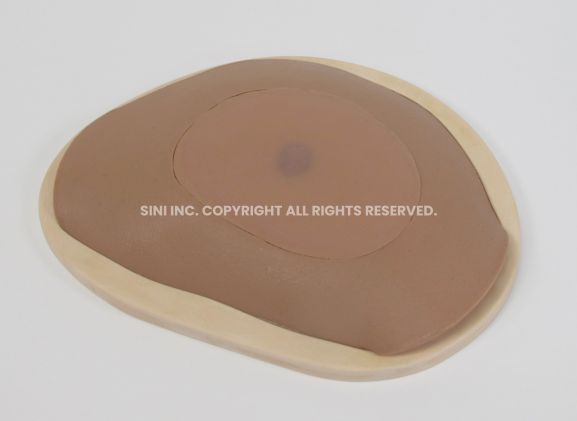 https://jayakelana.jayakelana.id/uploads/product/-s-abs-01-abscess-drainage-trainer-363429f4a5f201e_cover.jpg