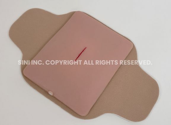 https://jayakelana.jayakelana.id/uploads/product/-s-loa-01-local-anesthesia-trainer-240368aeed3102c_cover.jpg