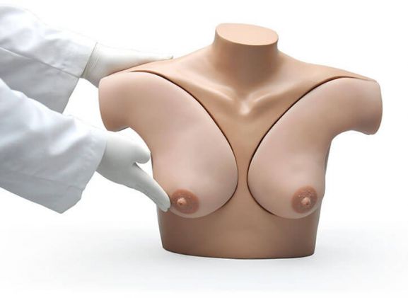 https://jayakelana.jayakelana.id/uploads/product/-s230-42-breast-examination-skills-4251411f61f6164_cover.jpg