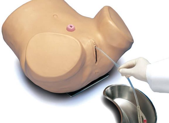https://jayakelana.jayakelana.id/uploads/product/-s230-6-advanced-patient-care-65465bdd45fbfb4_cover.jpg