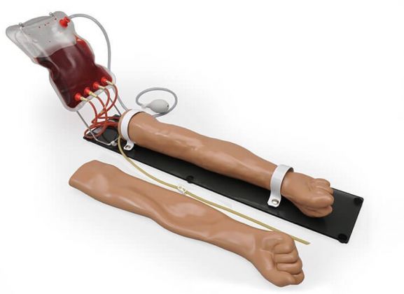 https://jayakelana.jayakelana.id/uploads/product/-s401-multipurpose-venous-training-440976471321585_cover.jpg