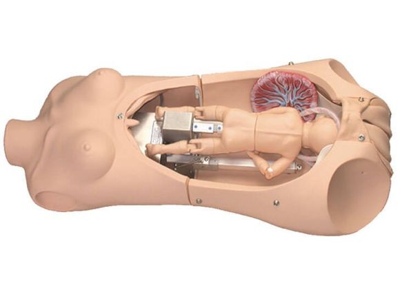 https://jayakelana.jayakelana.id/uploads/product/-s552-noelle-automatic-childbirth-25076fa9741d347_cover.jpg