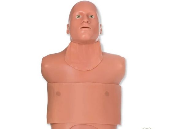 https://jayakelana.jayakelana.id/uploads/product/-tm-5138-traumaman-surgical-simulator-76451fed8e861c1_cover.jpg