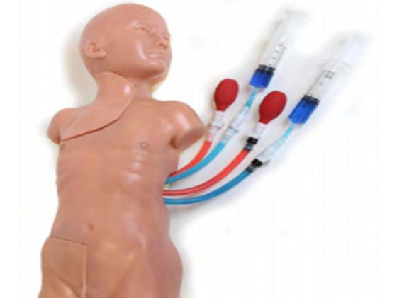 https://jayakelana.jayakelana.id/uploads/product/-vacf-30-vascular-accessc-hild-71002979a20a7c9_cover.png