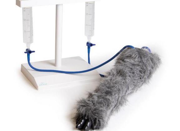 https://jayakelana.jayakelana.id/uploads/product/-vet4610-iv-injection-leg-74427f6223cf69a_cover.jpeg
