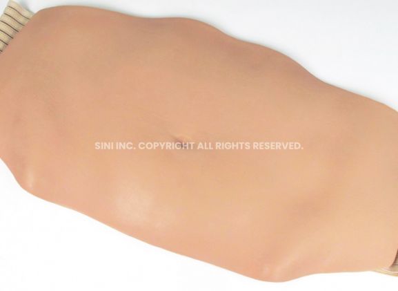 https://jayakelana.jayakelana.id/uploads/product/abdominal-injection-trainer-large-small-783640a4769aa0e_cover.jpg