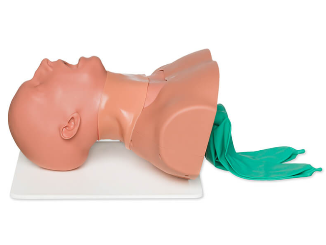 (AM-1001) AIRWAY MAN, AIRWAY MANAGEMENT TRAINER 