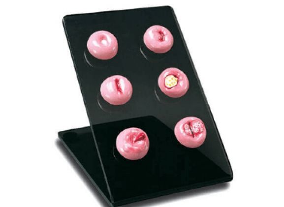 https://jayakelana.jayakelana.id/uploads/product/cervical-replicas-s505--906936d80a06779_cover.png