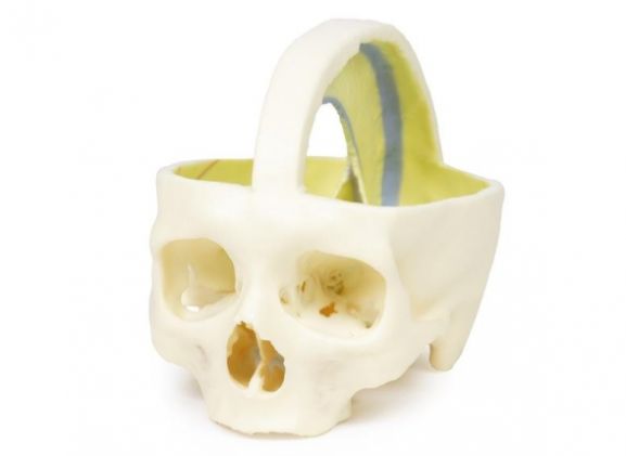 https://jayakelana.jayakelana.id/uploads/product/dural-skull-970661cea50abff_cover.jpg