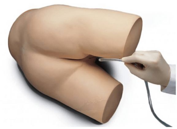 https://jayakelana.jayakelana.id/uploads/product/enema-perawatan-pasien-lanjutan-2072423e160ce98_cover.png