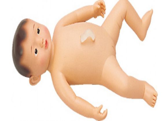 https://jayakelana.jayakelana.id/uploads/product/gadis-model-mandi-haruko--286618d7875da98_cover.png