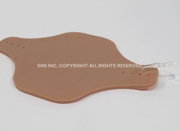 https://jayakelana.jayakelana.id/uploads/product/intradermal-injection-trainer-519593d4b767eb2_cover.jpg