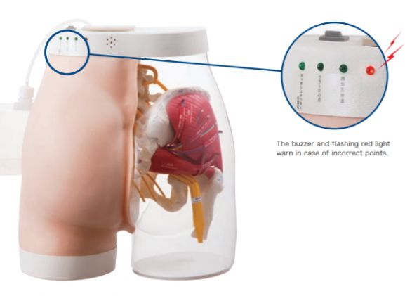 https://jayakelana.jayakelana.id/uploads/product/intramuscular-injection-model-of-5833681713cf65b_cover.png