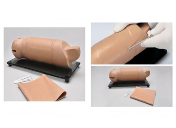 https://jayakelana.jayakelana.id/uploads/product/lengan-pelatihan-implan-reproduksi-66445a54815d81b_cover.png