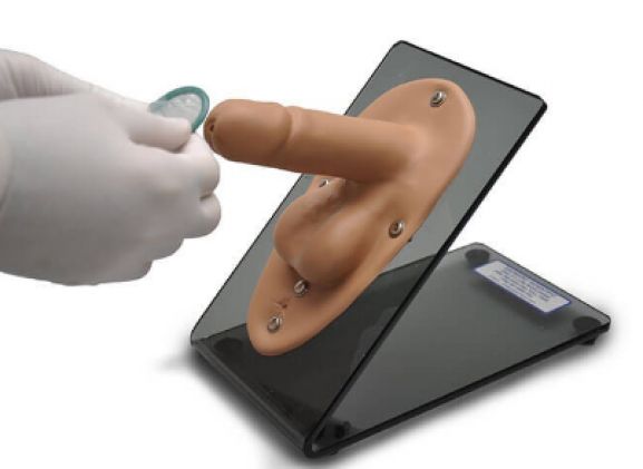 https://jayakelana.jayakelana.id/uploads/product/model-kondom-pria-s517--249398ab04b32c4_cover.png