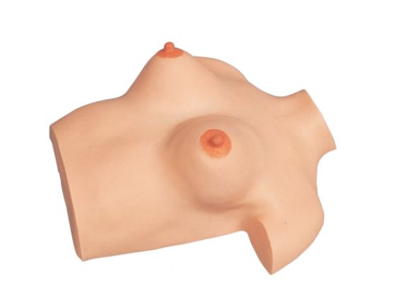 https://jayakelana.jayakelana.id/uploads/product/model-pijat-payudara-simulator-9749442cf66a1db_cover.png