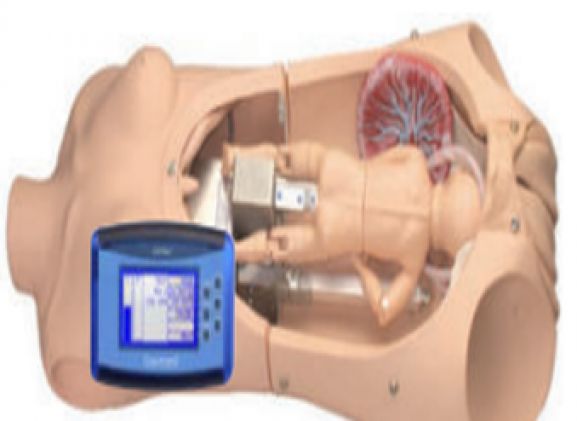 https://jayakelana.jayakelana.id/uploads/product/noelle-birthing-torso-dengan-83138c1b4c9c1d7_cover.png