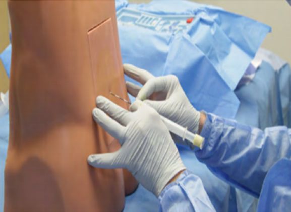 https://jayakelana.jayakelana.id/uploads/product/pelatih-epidural-lumbar-le-30--910026af868330e_cover.png