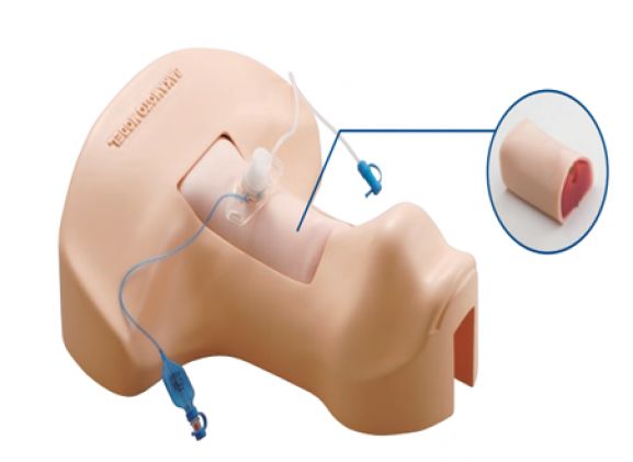 https://jayakelana.jayakelana.id/uploads/product/pelatihan-sakamoto-tracheotomy-m172--160076c026dcd28_cover.png